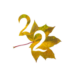 秋天的数字。数字2是从一个美丽的黄色枫叶在白色背景雕刻。在工作表上, 信函的字母模式