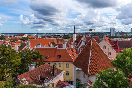 爱沙尼亚夏季塔林古城的空中全景城市美景
