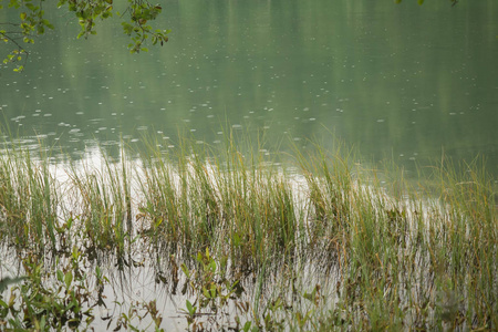 自然射击在 Gleinkersee 在奥地利