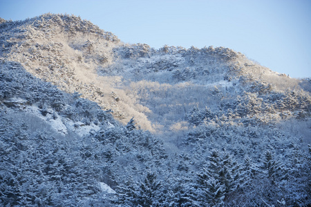 冬季景观