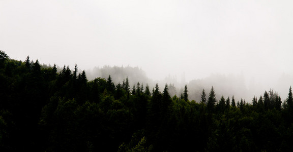 云朵和山中的树木