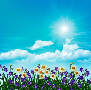 雏菊花和蓝蓝的天空，云与背景上的铃铛