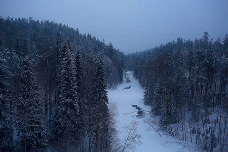 雾冬景观, 降雪和森林, 寒冷的季节性天气