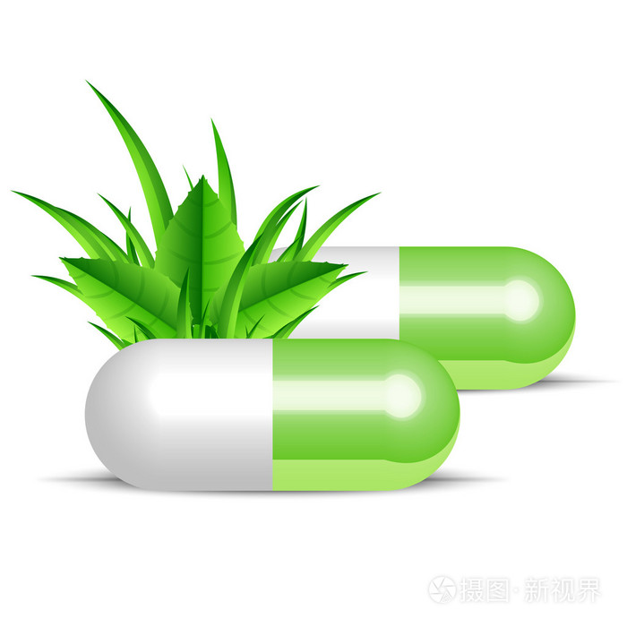 矢量插画的天然药