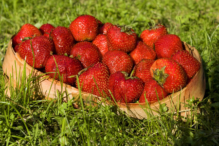 straberry 与购物篮