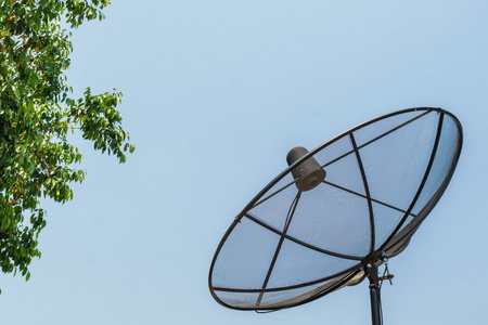 碟型卫星天线与树和蓝天