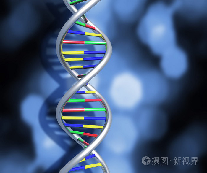 dna链