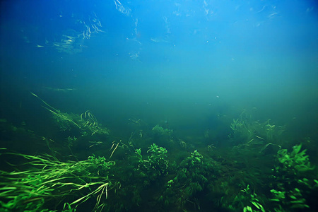 湖泊水下纹理, 水下照片淡水生态系统, 水纹理背景