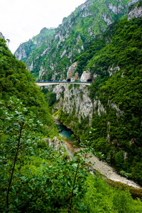 黑山 Piva 峡谷 Piva 以上山脉之间的桥梁