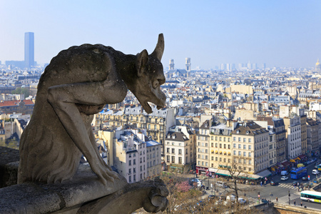 著名的巴黎圣母院俯瞰巴黎嵌合