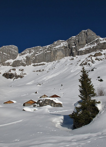 在阿尔卑斯山的美丽的冬天天