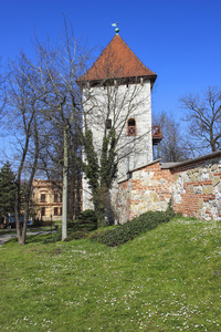 中世纪塔由盐矿山和历史的城堡，wielicz