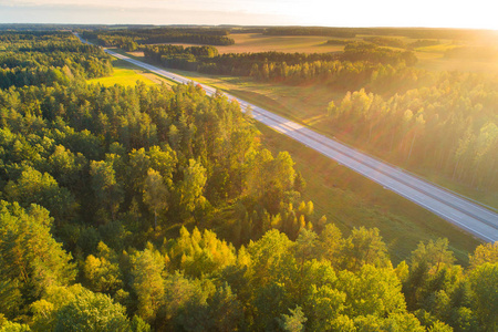 路在森林对角位置空中看法。交通高速公路的阳光和阳光。绿色森林在晚上。高速公路日落