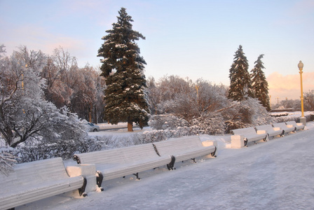 冰雪覆盖的长椅和灌木的公园