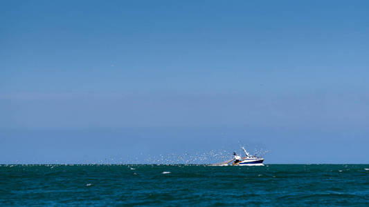 费希尔船与一群海鸥附近鲁昂 诺曼底法国 在一个晴朗的天夏天