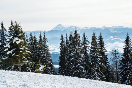 Bukovel 在冬天。白雪皑皑的山峰。乌克兰喀尔巴阡山 Hoverla 山