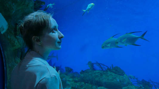 女人呆在水族馆的大鱼缸旁, 看着鱼