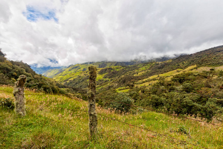 在哥伦比亚 Salento 附近一座山的山脊上布满青苔的篱笆。