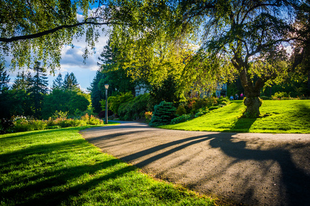 树和皮托克英亩的公园，在俄勒冈州波特兰市的一条行人通道