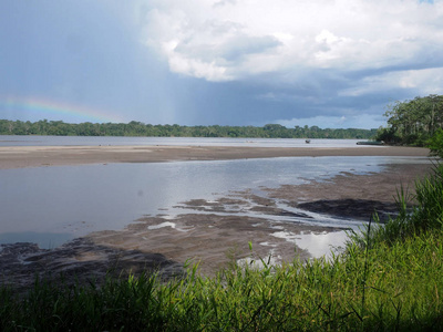 厄瓜多尔 Yasuni 国家公园亚马逊河假肢的看法