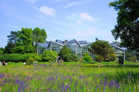 柏 garten，河畔法兰克福 hessen，德国的性质