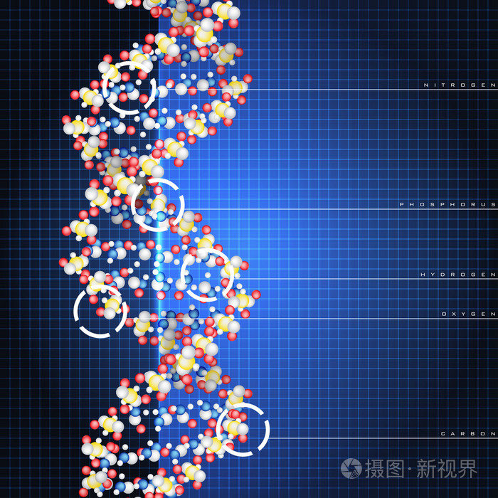 dna 双螺旋结构