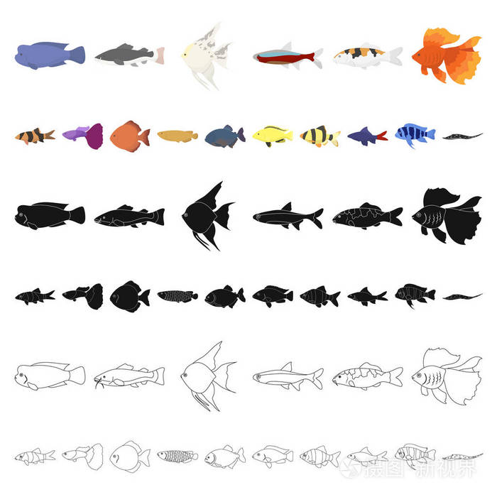 海洋和水族鱼矢量符号股票网页插图