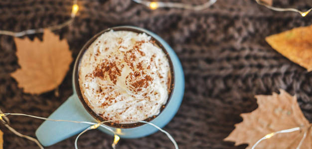 一杯咖啡, 可可或者热巧克力, 上面有奶油和肉桂, 还有树叶, 花环。南瓜拿铁寒冷的秋天或冬天的舒适饮料