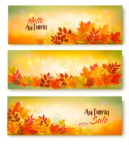 三个秋天销售横幅与五颜六色的树叶。分层的矢量