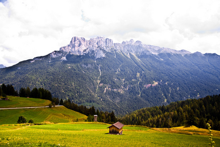 村 草甸和在阿尔卑斯山