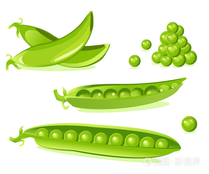 豌豆荚