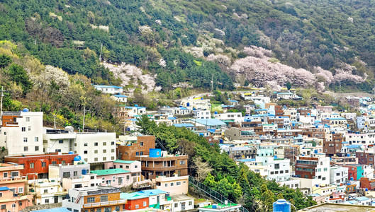 在釜山 Gamcheon 文化村