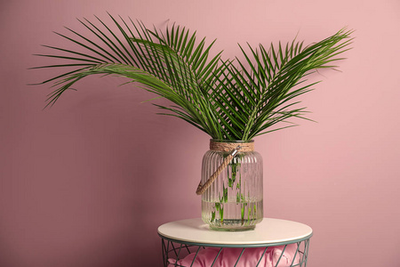 带热带棕榈叶的花瓶, 靠近彩色墙壁