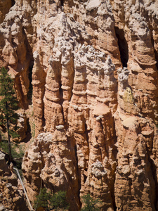 brycecanyon 是由于其地质结构，称为石林，从风 水和冰的河侵蚀形成独特和湖底沉积岩这些都是令人毛骨悚然，常常异想天开