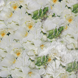 白色婚礼鲜花