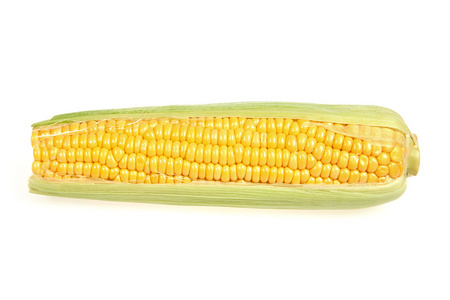 成熟的玉米穗图片