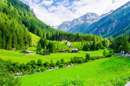 高山景观与奥地利阿尔卑斯山，绿草地