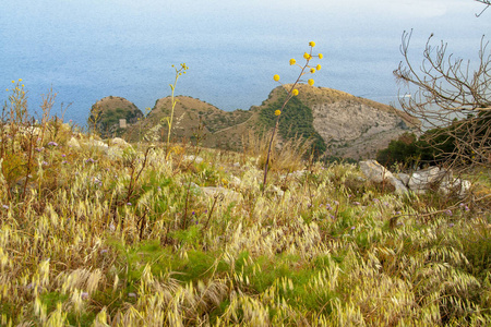 索伦托半岛和海湾, 那不勒斯, 意大利的风景