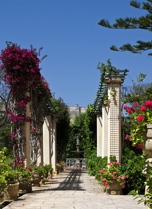 地中海花园