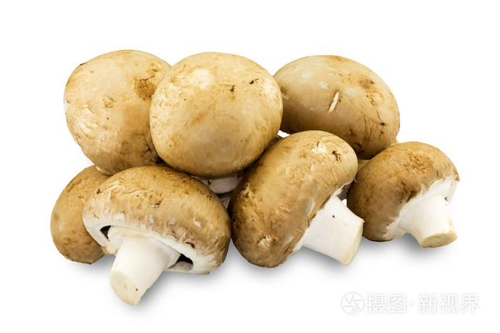 上白孤立的新鲜板栗蘑菇