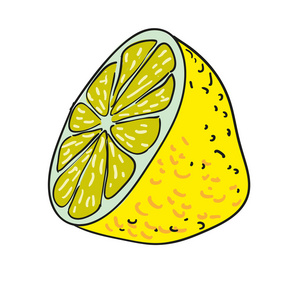 柠檬手绘制的水果孤立的矢量