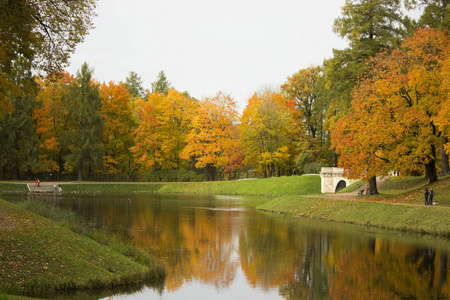 秋天的加特契纳公园与黄色的叶子在树和卡平池塘, 他们被反射