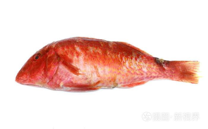鲻鱼