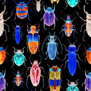水彩 bug 甲虫模式