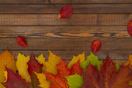 秋天横幅与黄色叶子在木纹理的背景。感恩节的秋季背景