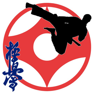 武术空手道 kyokushinkai