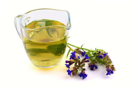 牛舌草 也常见苣或 Alkanet 药用草本植物茶提取物。在白色背景下隔离