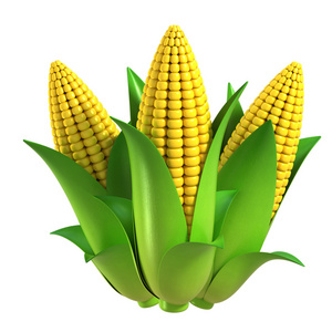 玉米 3d 图