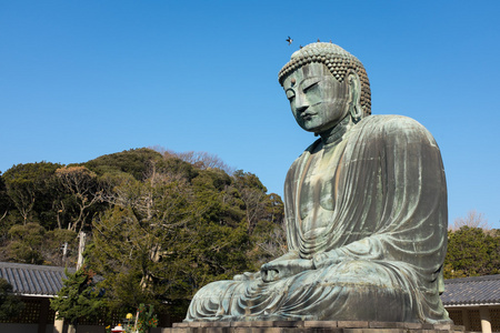 日本镰仓大佛