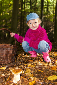 蘑菇采摘在森林中的小女孩